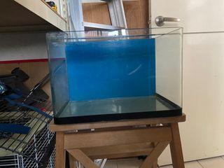 Tank Aquarium 32cm L x 24cm H x 23cm W