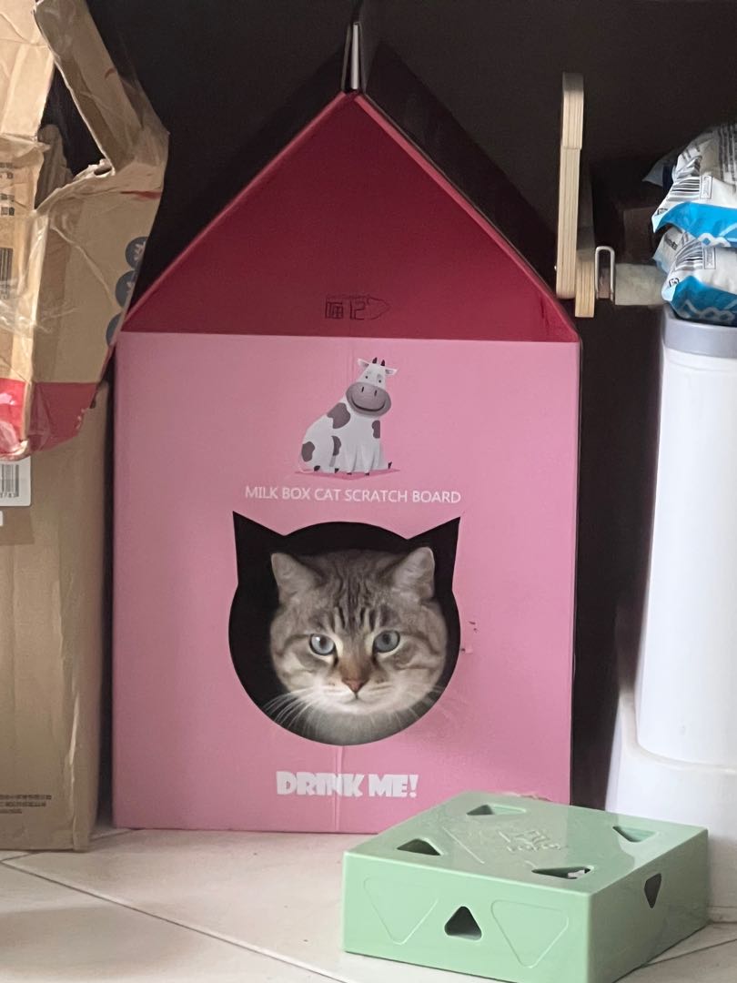 99 Cat favourite scratch board box milk box, Pet Supplies, Homes