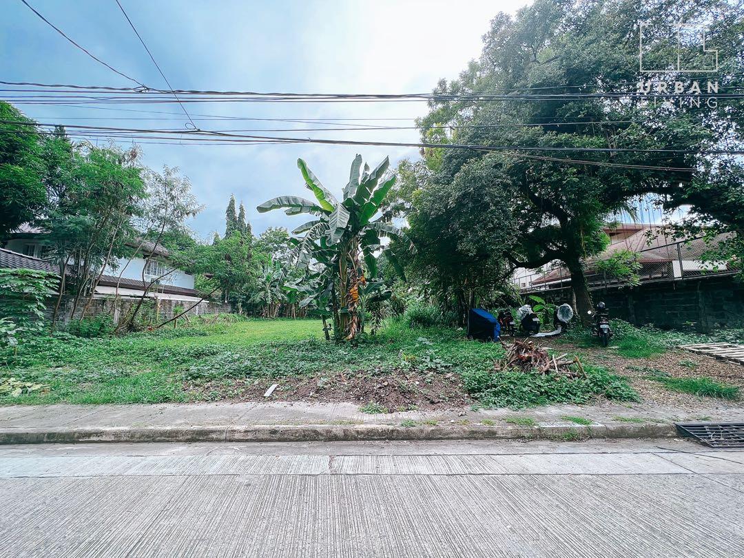 Dingalan Drive Ayala Alabang Village 895 sqm vacant lot on Carousell