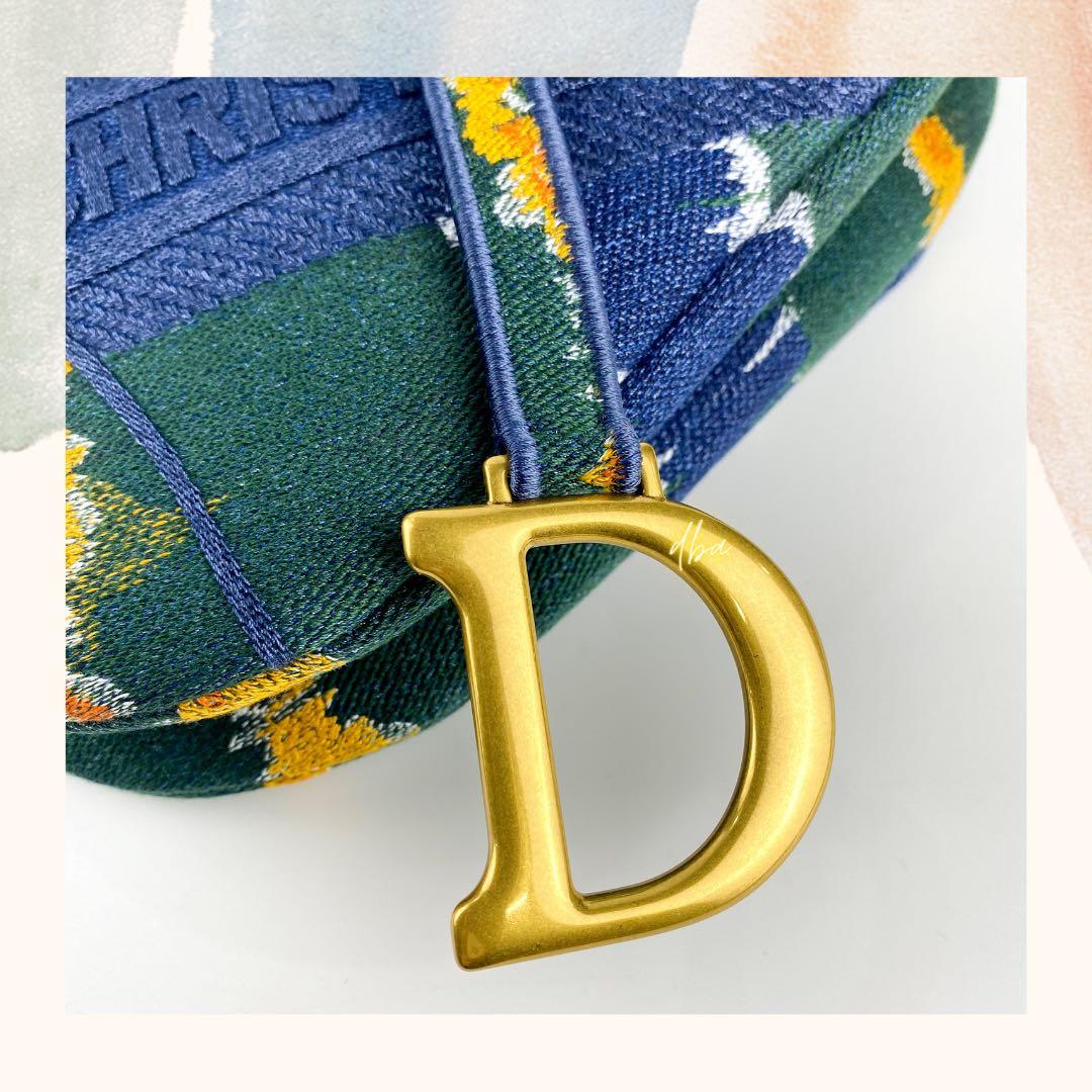 Christian Dior Saddle Limited edition Dior Oblique Embroidery