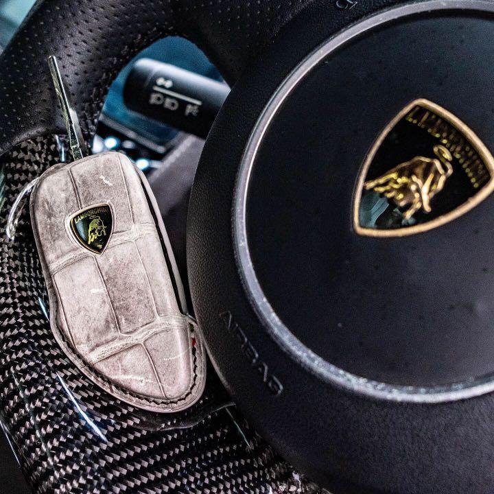 Custom made Car Key Fob Cover for Gallardo in Himalayan