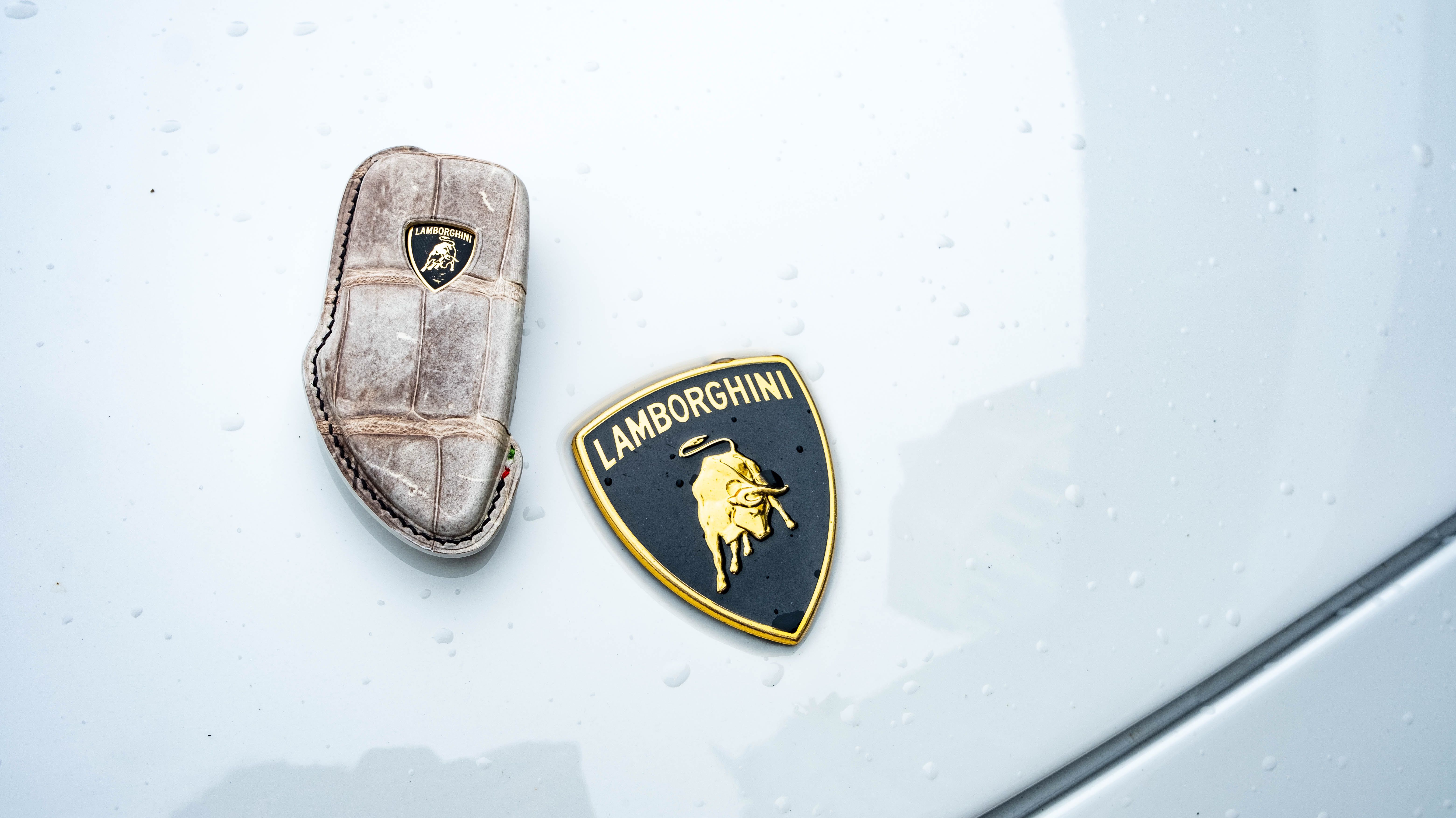 Custom made Car Key Fob Cover for Gallardo in Himalayan