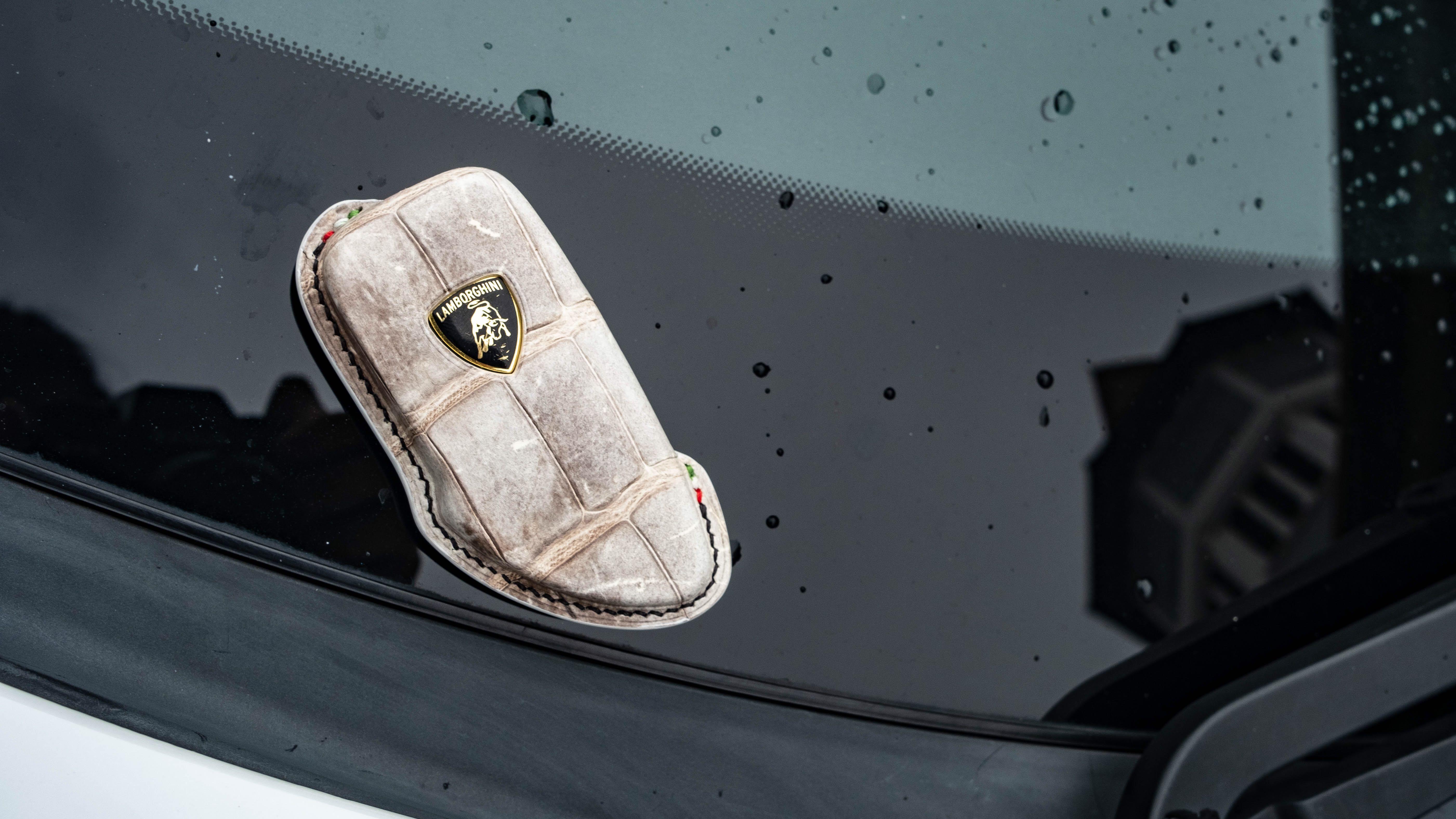 Custom made Car Key Fob Cover for Gallardo in Himalayan
