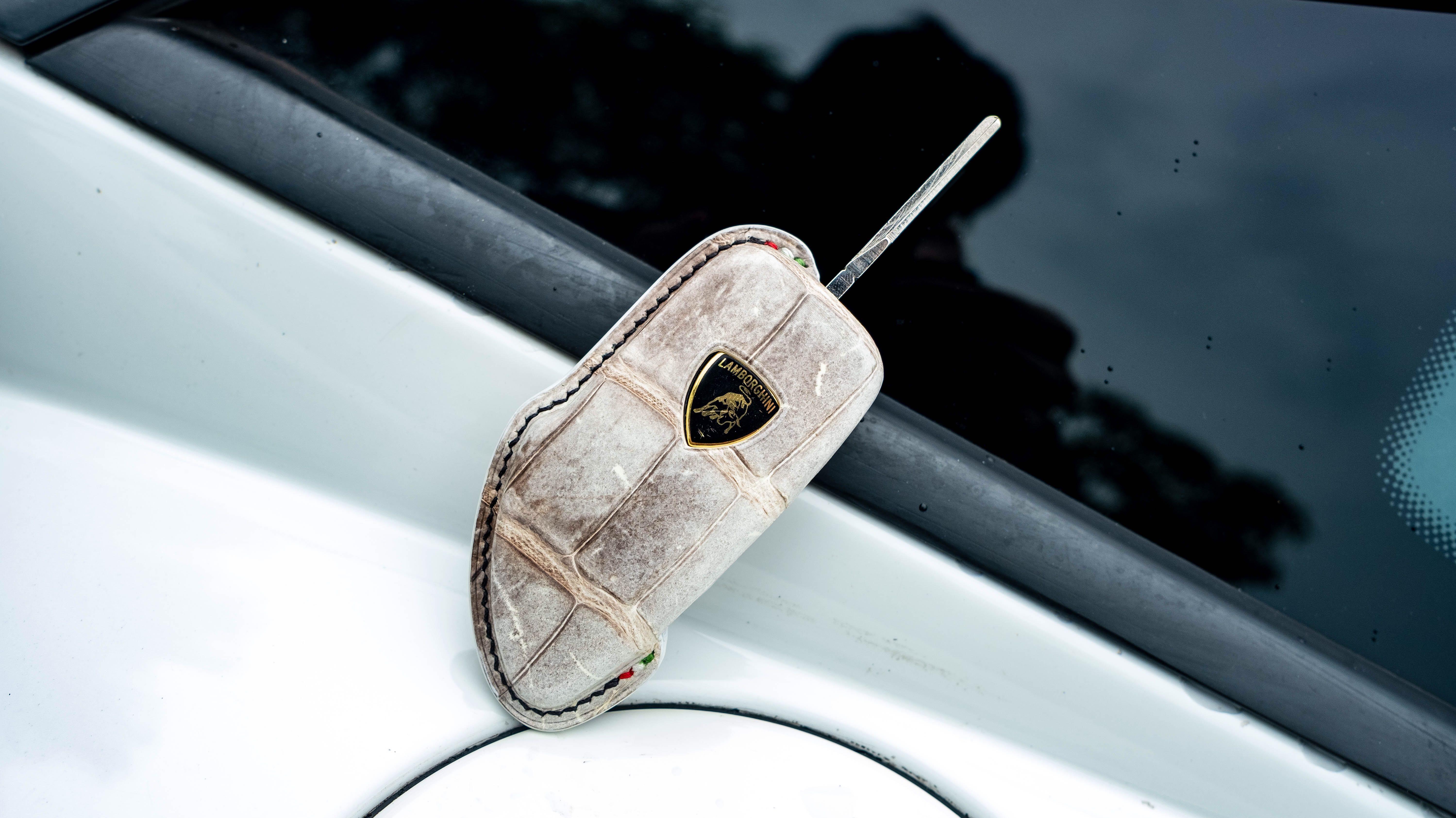Custom made Car Key Fob Cover for Gallardo in Himalayan