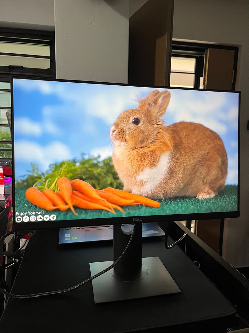 DELL P2419H 24" inch FHD IPS Monitor Height Swivel Rotate Landscape