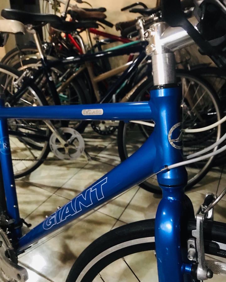 Giant Escape R3 Aluxx Frame 3by 8 Speed 