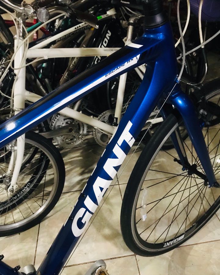 Giant Escape Rx Aluxx Frame Rigid Fork 