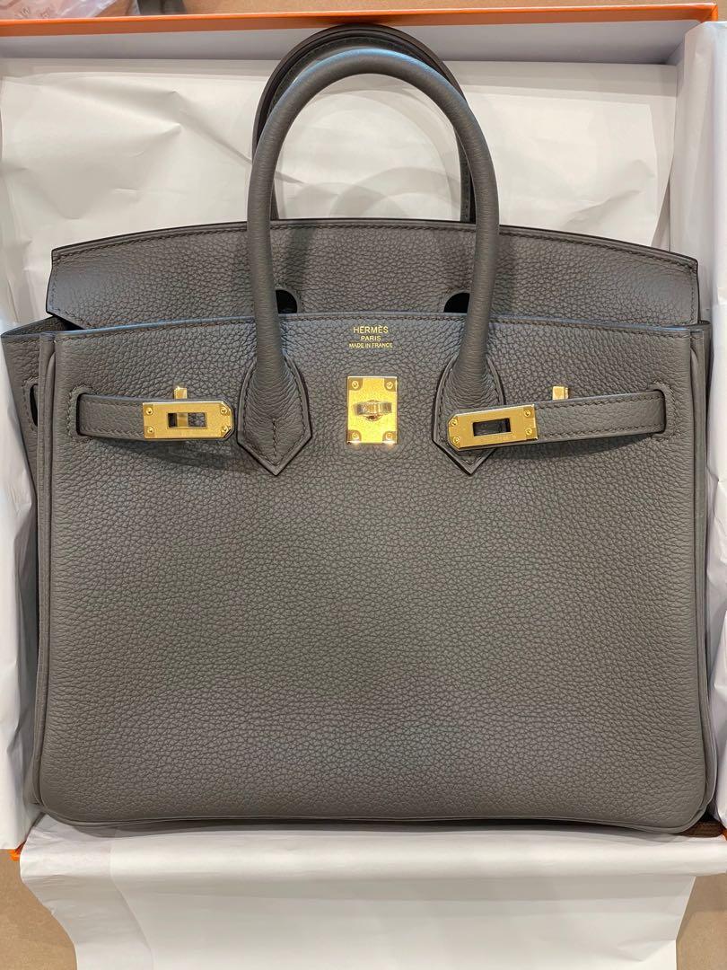 Hermes Birkin 25 Handbag 4Z Gris Mouette Togo GHW