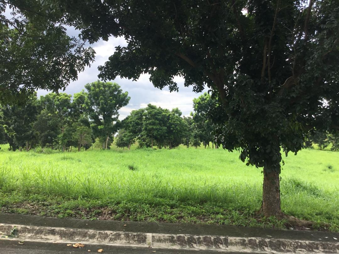 328 Sqm Residential Lot For Sale in Manila Southwoods Carmona Cavite