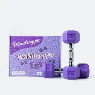 Wandergym 20 Lbs. Wanderbar Eco-Friendly Hex Dumbbells Grape Edition Purple