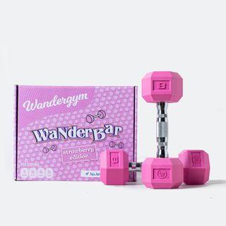 Wandergym 20 Lbs. Wanderbar Eco-Friendly Hex Dumbbells Strawberry Edition Pink