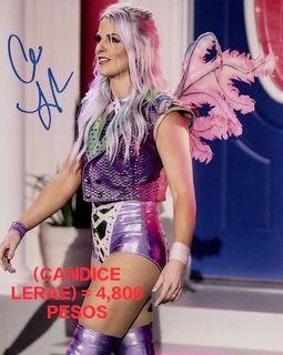 WWE / Wrestling Collectibles - CANDICE LERAE (PIXIE ENTRANCE) WITH COA (AUTOGRAPH SIGN) 🖊️