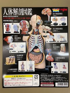 （分類：）位於 。 由 amberthing 提交（商品編號 1176749572，圖片 1）。簡介： 。