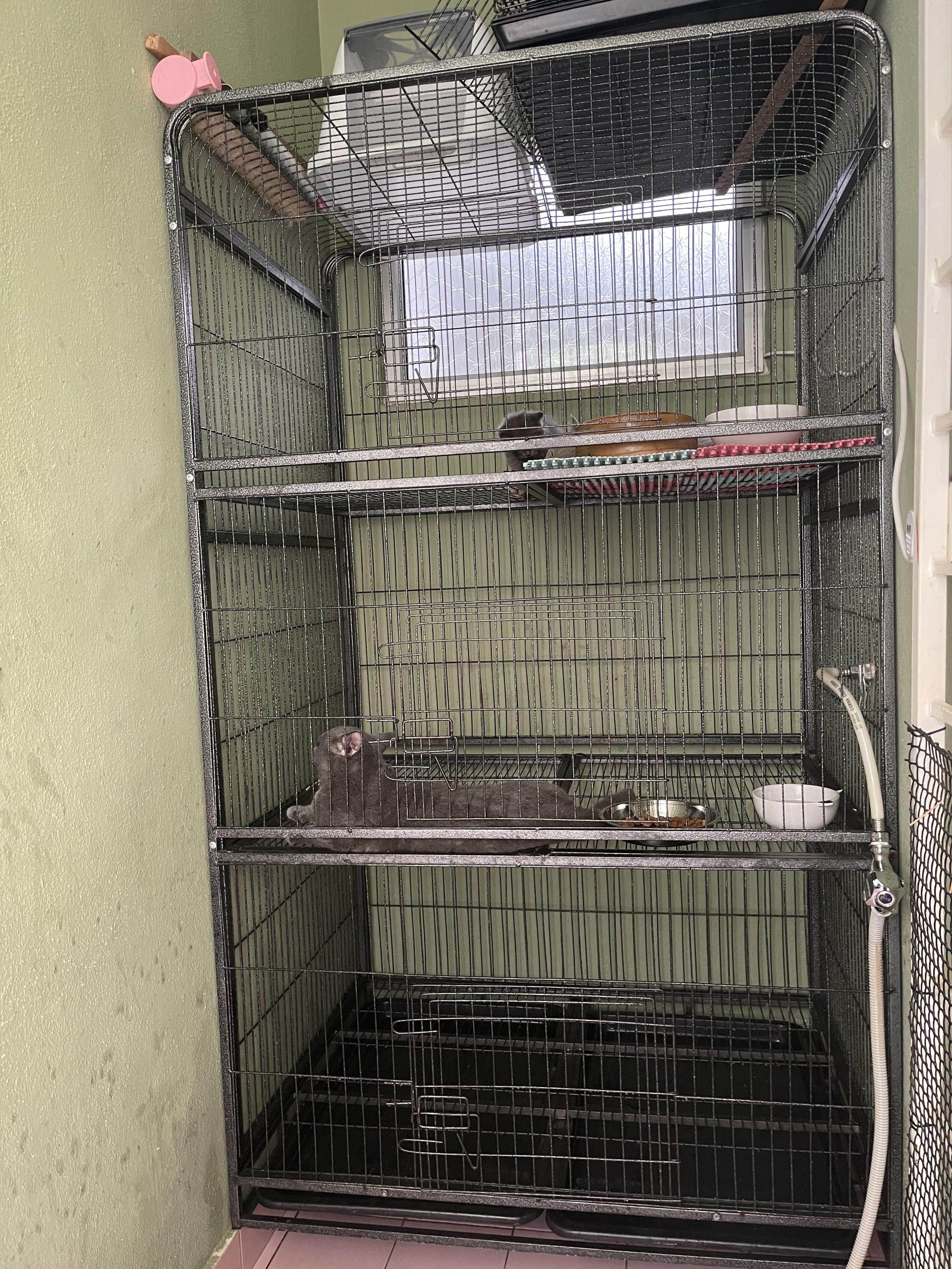 Cat Cage Heavyduty Pet Supplies Homes Other Pet Accessories on