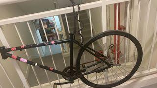 fixie coastal