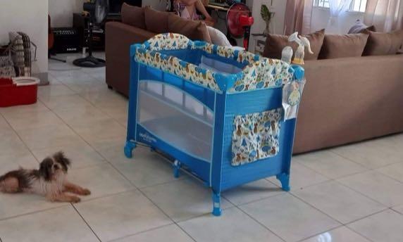 Giant carrier portable crib playpen Babies Kids Baby Nursery