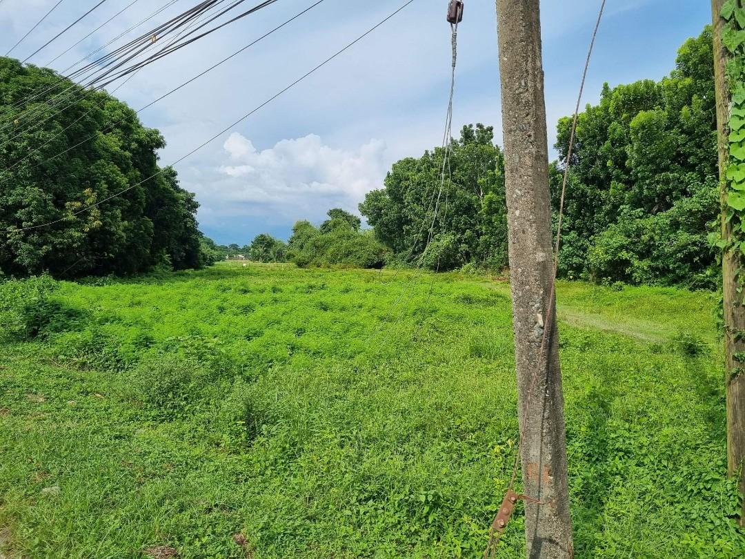 Lot for sale Tayug, Pangasinan, Property, For Sale, Lot on Carousell