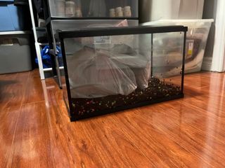 (Category: ) located in . Submitted by kinisha (Listing ID 1176912337, Image 1). Description: .
