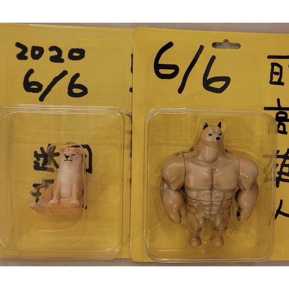 迷因玩具柴犬阿柴韓國瑜高雄哭哭肌肉柴犬, 其他, 其他- Carousell