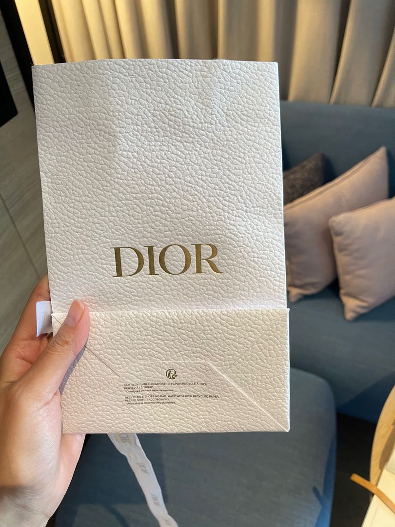 Dior carrier sale bag