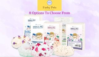 (Category: ) located in . Submitted by furbypets77 (Listing ID 1176869911, Image 1). Description: .