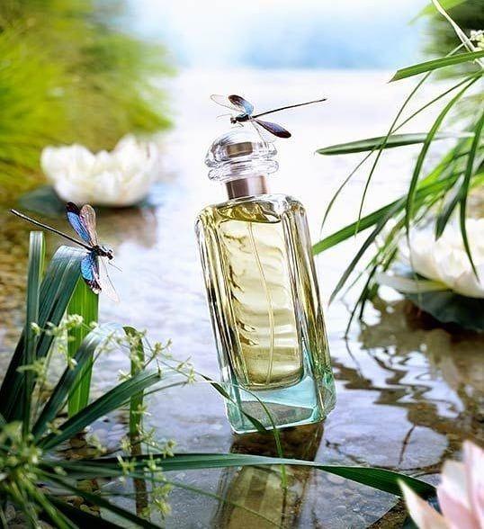 Un jardin en mediterranee hermes sales