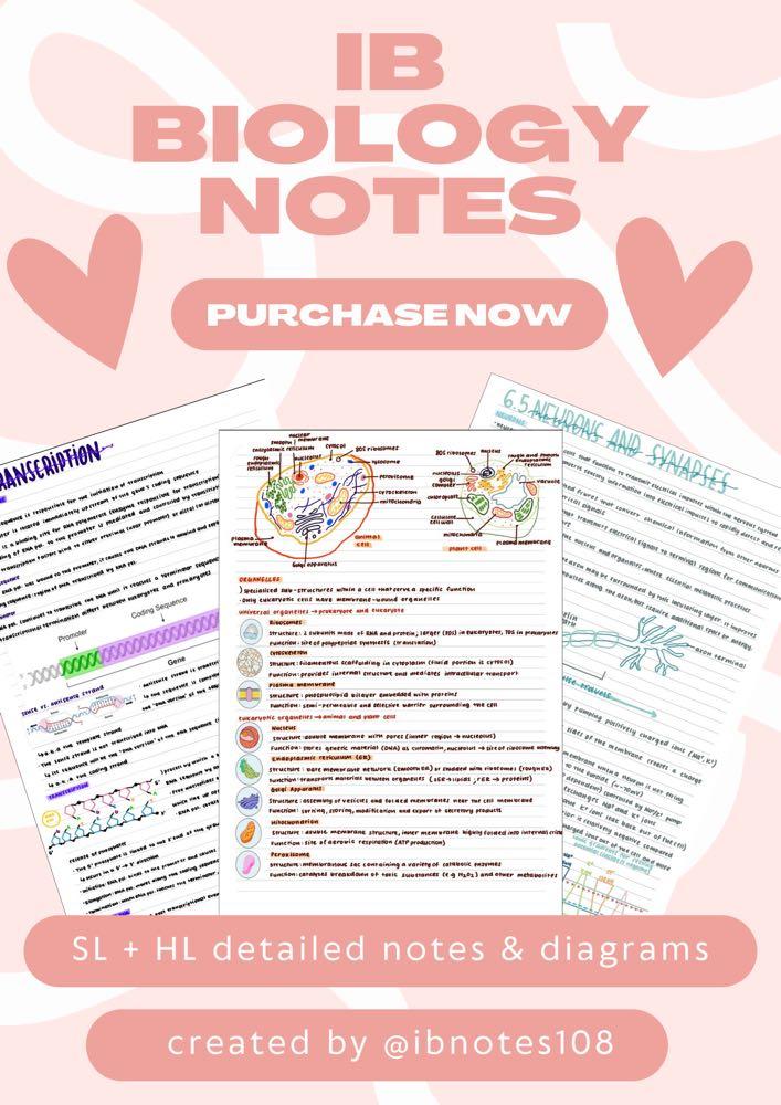 IB SL and HL Biology notes, Hobbies & Toys, Books & Magazines