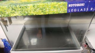 （分類：）位於 。 由 redtesla 提交（商品編號 1177003030，圖片 1）。簡介： 。