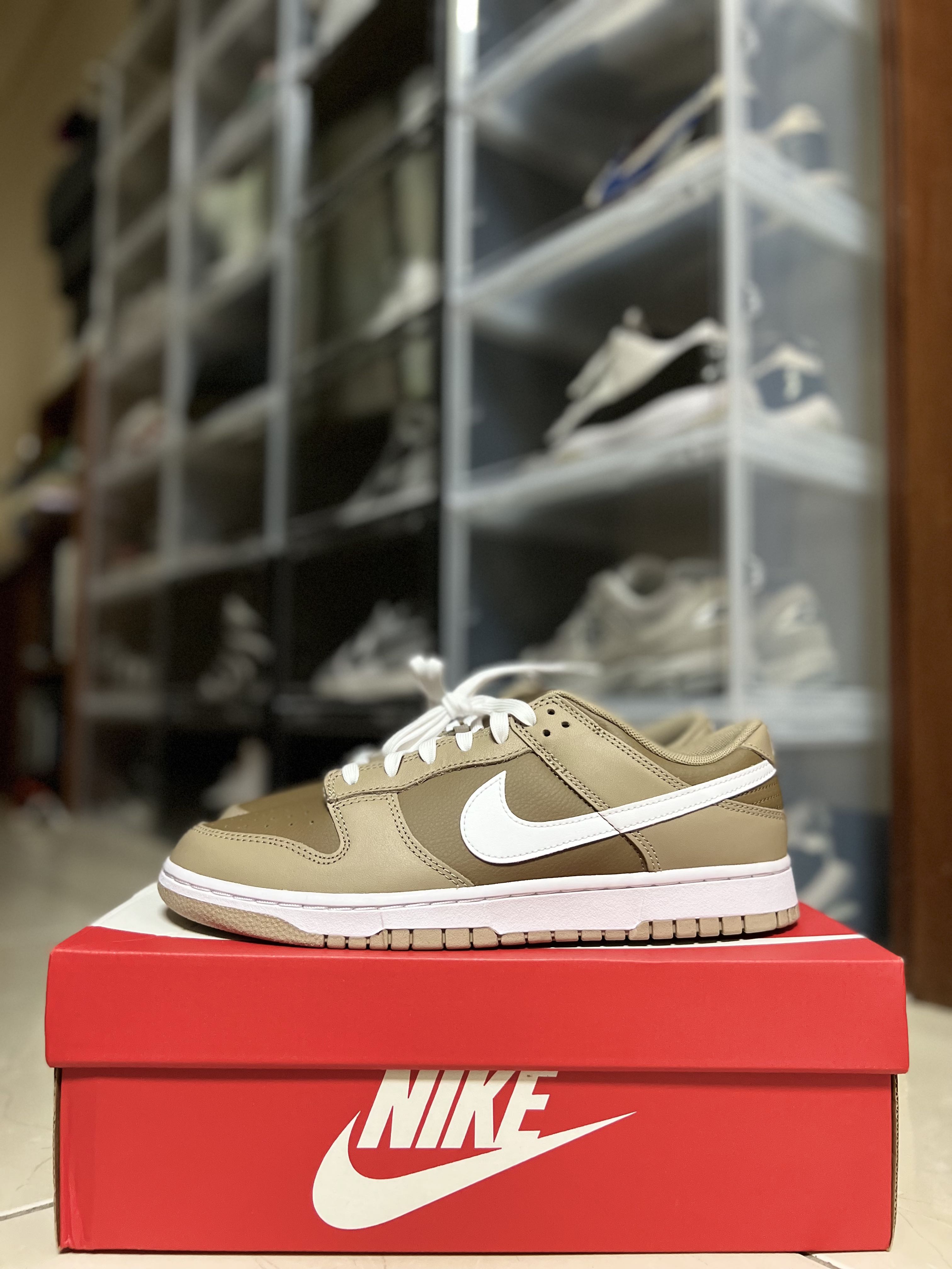 Nike Dunk Low Judge Grey 男鞋摩卡棕色經典低筒運動休閒鞋