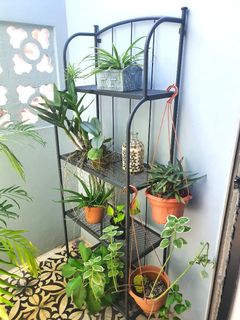 (Category: ) located in . Submitted by nixhew (Listing ID 1176874621, Image 1). Description: .