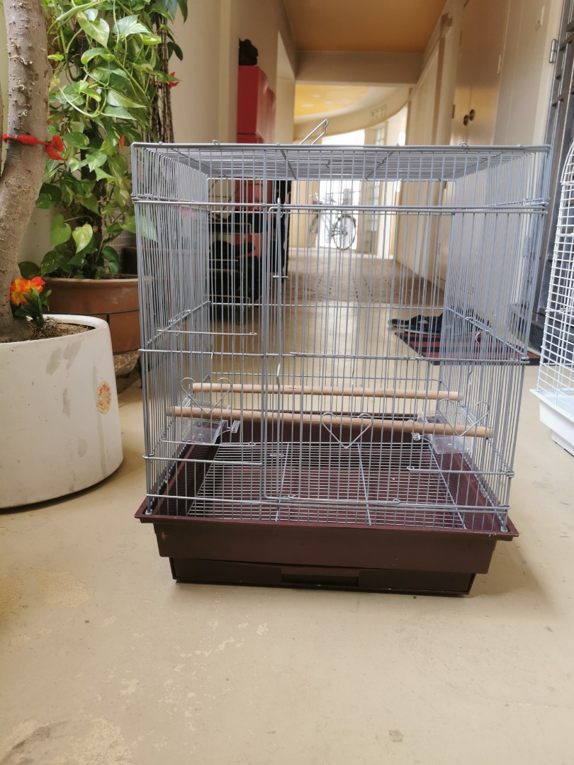 twin parrot cage