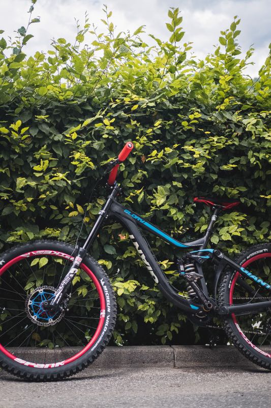 2016 giant glory 1 cheap