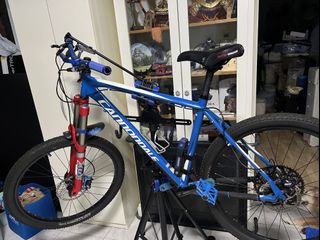 Cannondale trail deals 5 2011