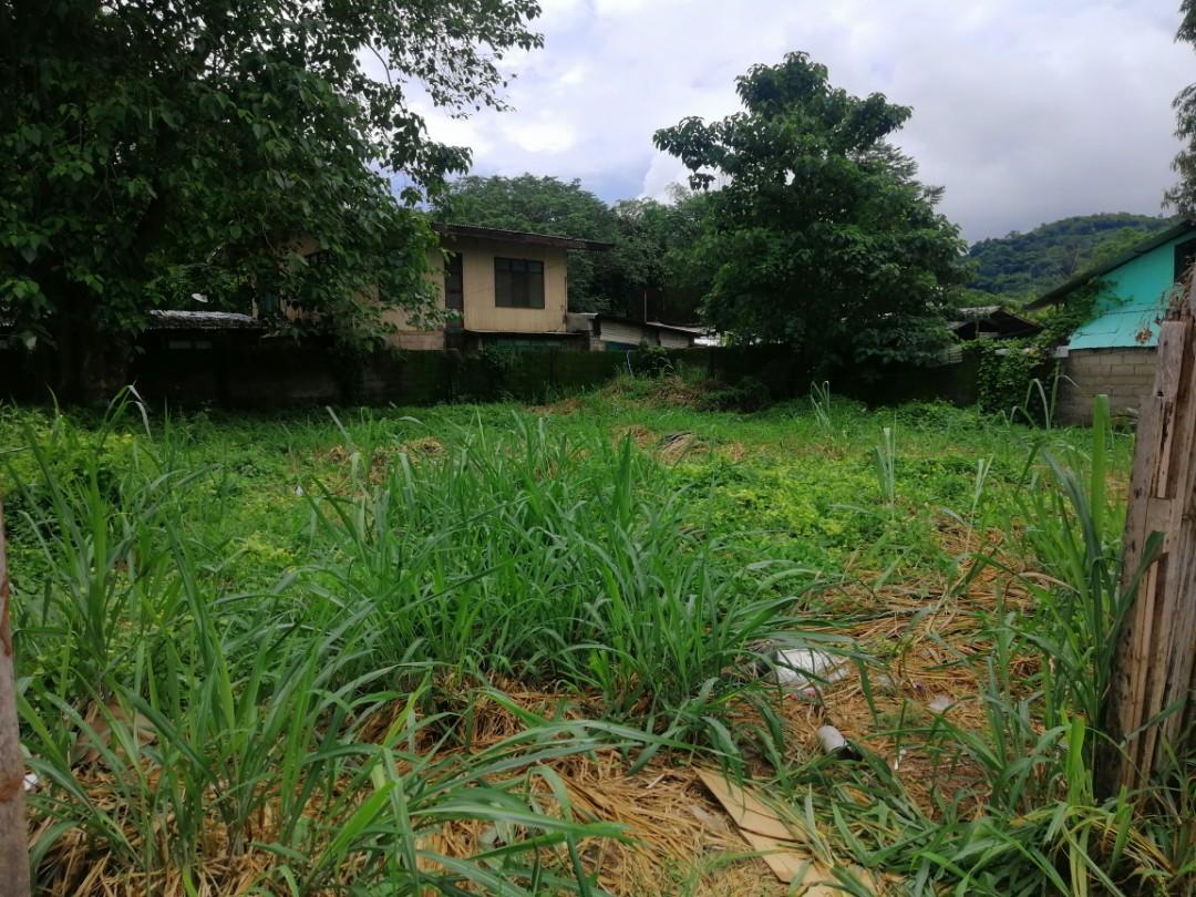Commercial lot for sale in Coron, Palawan, Property, For Sale, Lot on