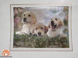 (Category: ) located in . Submitted by redpandacollections (Listing ID 1177162540, Image 1). Description: .