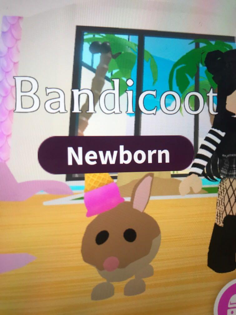Ice Cream Cone Hat(From RobloxAdopt me!), 汽車配件, 其他 Carousell