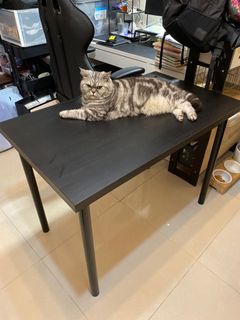（分類：）位於 。 由 Scottass1220 提交（商品編號 1177225700，圖片 1）。簡介： 。