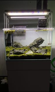 (Category: ) located in . Submitted by aezzaddinz (Listing ID 1177171666, Image 1). Description: .