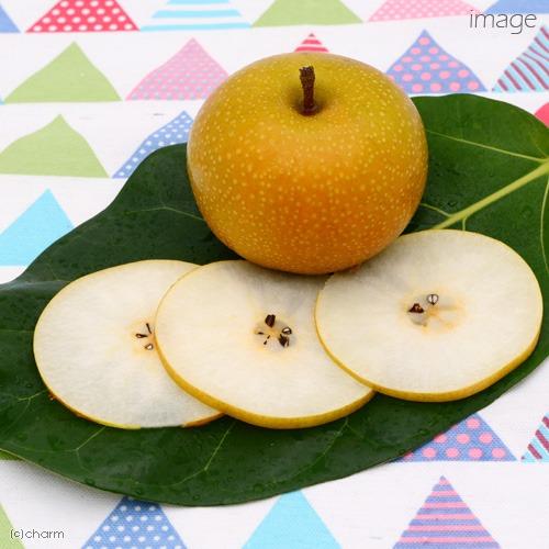 【倉鼠零食】Leaf Corporation 日本國產甜梨乾 30g（日本直送，適合小動物的零食，熊仔鼠兔子倉鼠皆可） （分類：寵物食品）位於 Hong Kong。 由 HamuSs 提交（商品編號 1177114489，圖片 2）。簡介： 有現貨 使用甜度高的日本國產梨。 將剛摘下來的美味食材在新鮮的時候用低溫慢慢地乾燥。 不使用色素、防腐劑、添加劑。 裝在帶拉鍊的鋁製袋子中，方便存放。 梨的功效 梨含有豐富的抗氧化物如槲皮素（quercetin）和花青素（athocyanin），有助控制血糖水平和促進心血管健康。梨還含有大量的膳食纖維，促進腸胃消化。自由基造成的氧化壓力是導致衰老、炎症和腫瘤等疾病的原兇，會氧化血內的「壞膽固醇」，引致動脈粥狀硬化，增加患心血管疾病的風險，它們會因長期處於輻射環境或接觸化學物而增加。抗氧化物能抑制和抵抗自由基帶來的傷害。有研究指出，梨含有豐富的多酚和黃酮類化合物，其果皮的多酚含量更是果肉的6倍，具有抗氧化功效，能夠中和自由基，保護細胞免受自由基的傷害。