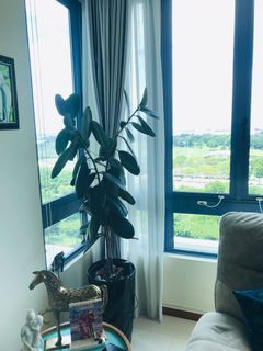 (Category: ) located in . Submitted by nehav (Listing ID 1177067235, Image 1). Description: .