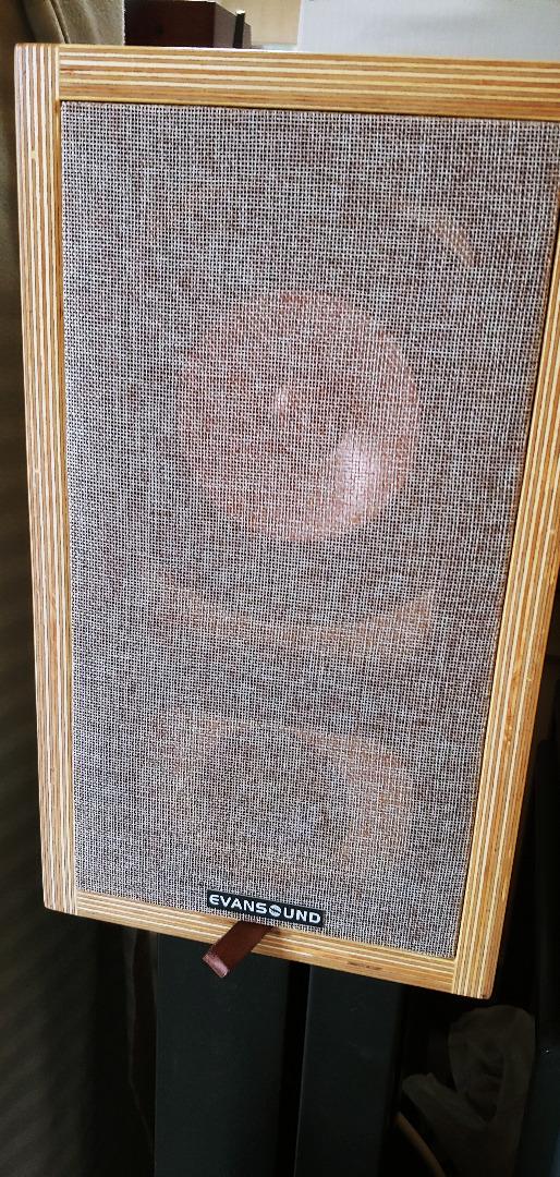 Special **** (video within) Bookshelf speaker MarkAudio 300B High