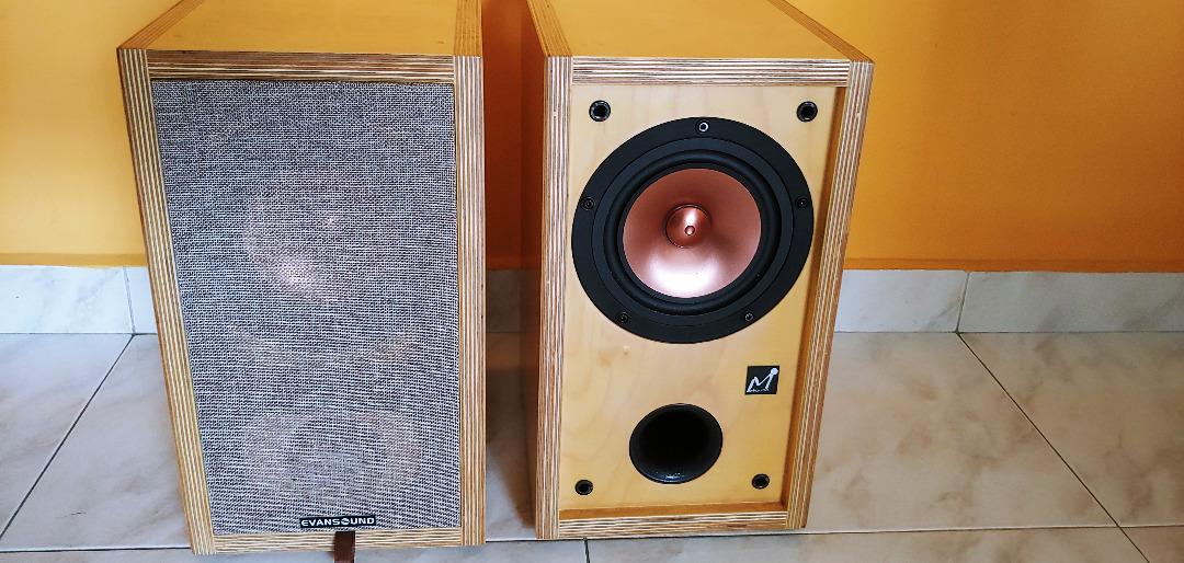 Special **** (video within) Bookshelf speaker MarkAudio 300B High