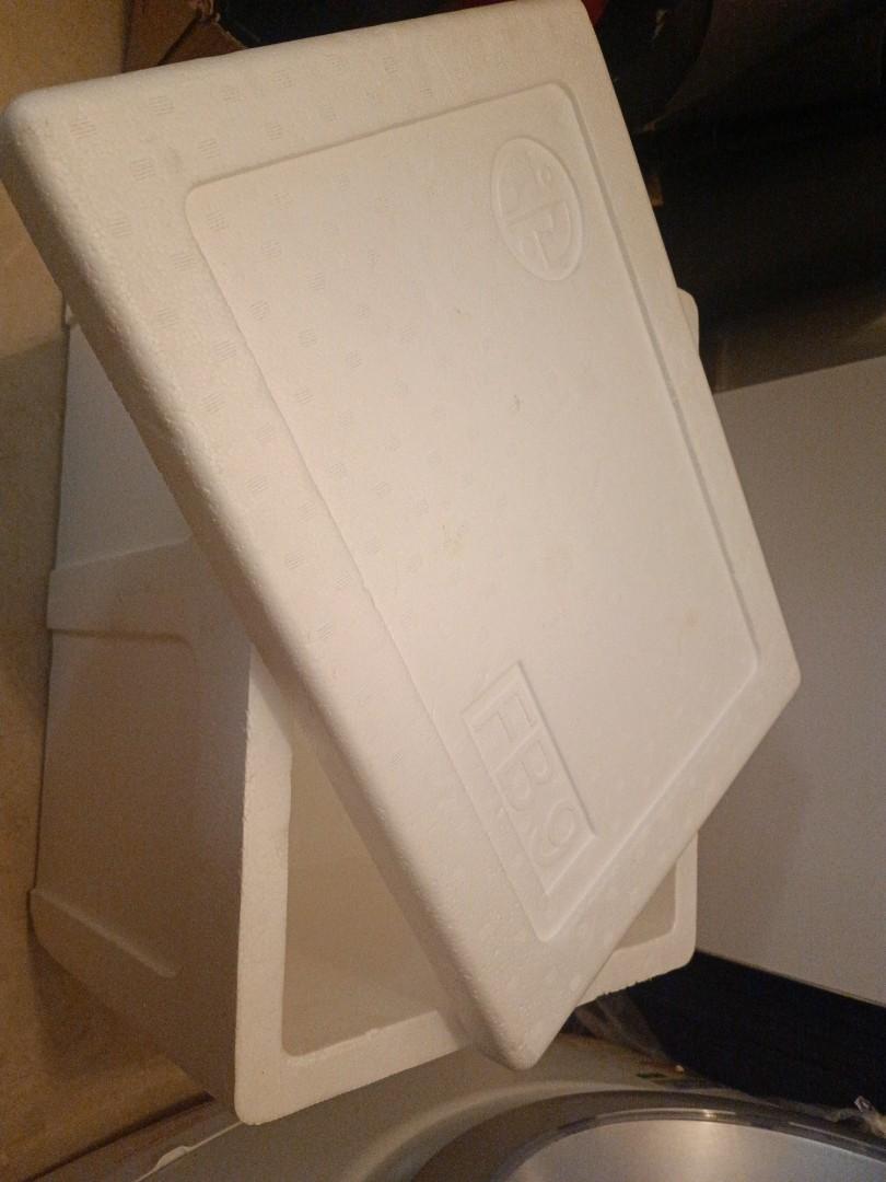 Styrofoam Ice Box M, Furniture & Home Living, Kitchenware & Tableware