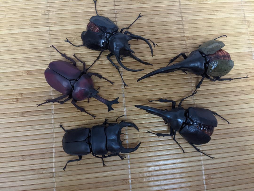 甲蟲鍬形蟲兜蟲凱格長戟昆蟲大圖鑑環保扭蛋不散 興趣及遊戲 玩具 遊戲類 Carousell