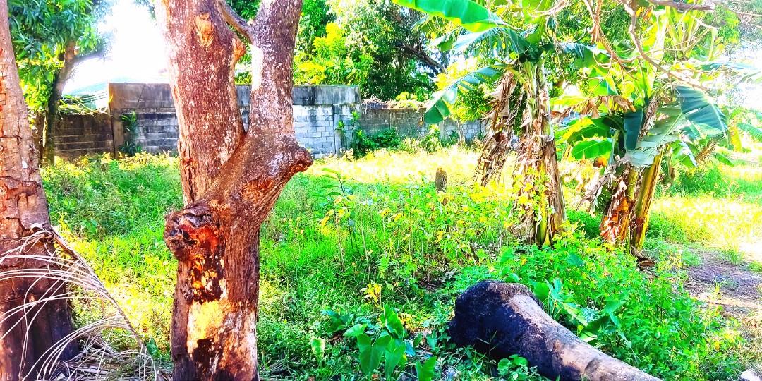 222SQM LOT FOR SALE CALOOCAN CITY(NORTH, Property, For Sale, Lot on