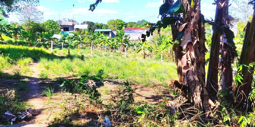 222SQM LOT FOR SALE CALOOCAN CITY(NORTH, Property, For Sale, Lot on