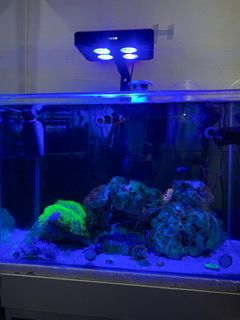 (Category: ) located in . Submitted by hzmi07 (Listing ID 1171228491, Image 1). Description: .