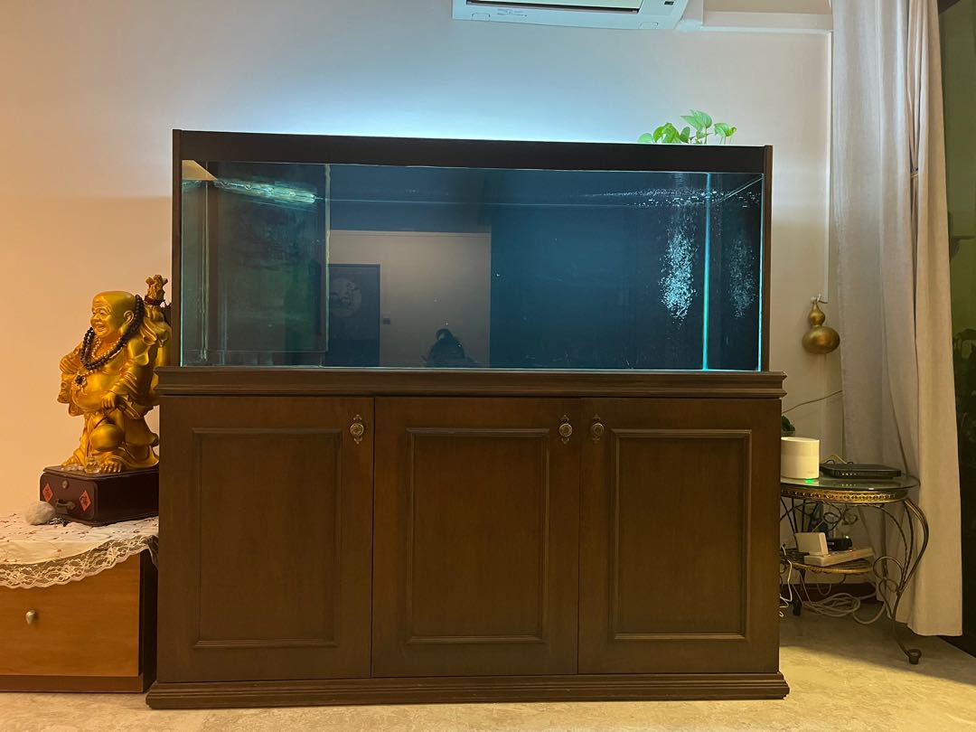 overflow aquarium tank