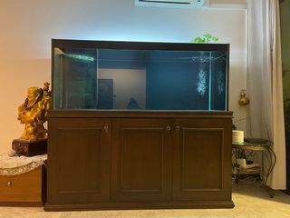 (Category: ) located in . Submitted by chupachup (Listing ID 1177365122, Image 1). Description: .