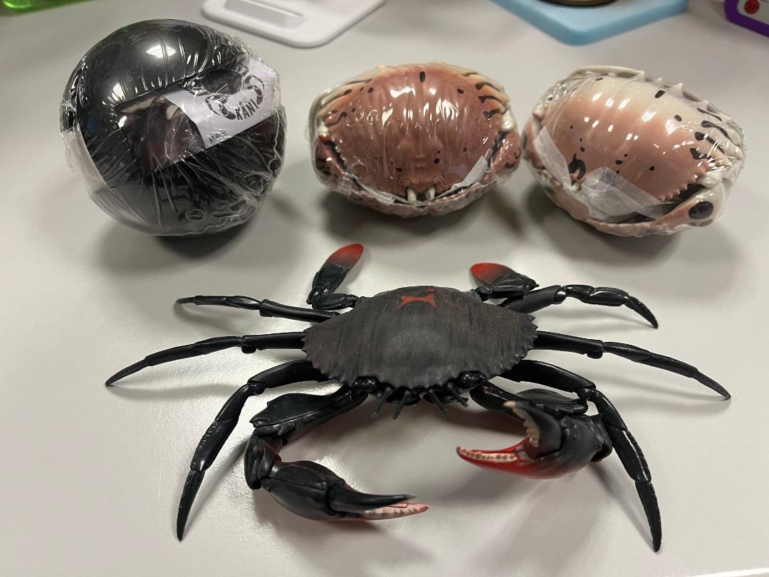 全新bandai 環保扭蛋蟹系列可動第1彈vol 1 扭蛋gashapon 生物圖鑑甲殼類螃蟹 全4種 興趣及遊戲 玩具 遊戲類 Carousell
